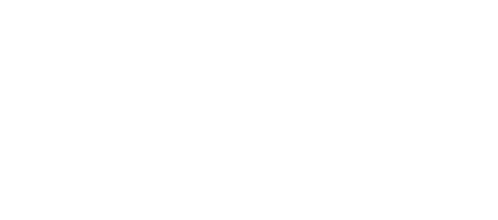 White silhouettes of birds flying in a group.