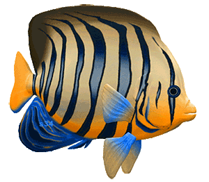 Yellow-and-blue striped tropical fish underwater.