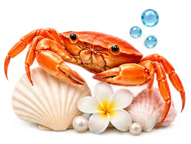 Orange crab beside seashells and blue water.