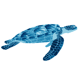 Blue sea turtle swimming underwater.